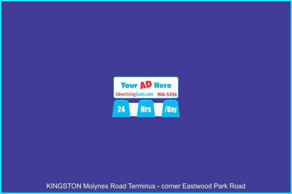 ID 207 Molynes Road Kingston