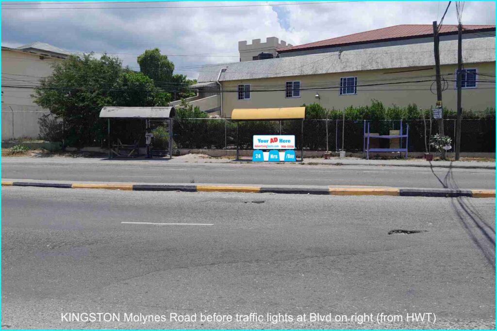 ID 216 Molynes Road Kingston